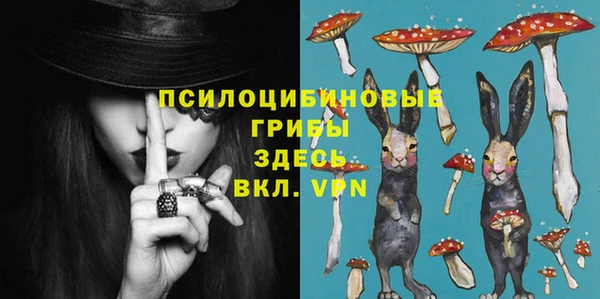 гидра Балахна
