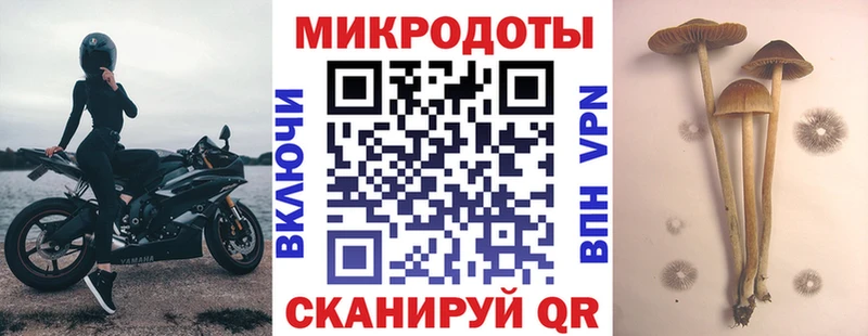 Галлюциногенные грибы Psilocybe  маркетплейс как зайти  Ленск 